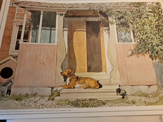 Samlingsmappe Carl Larsson